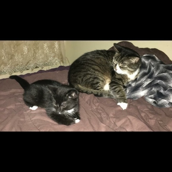 Hi. My name is Crystal. - Picture 7 of 8